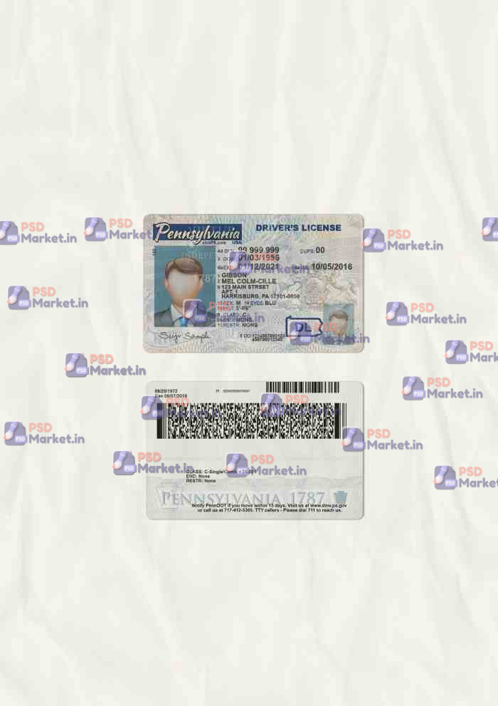 Pennsylvania Drivers License Template (scan) 1 Pennsylvania Drivers License Template (scan) - PSDMarket.in