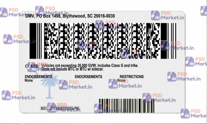 South Carolina Drivers License Template (Front & Back) V2 2 South Carolina Drivers License Template (Front & Back) V2 - PSDMarket.in