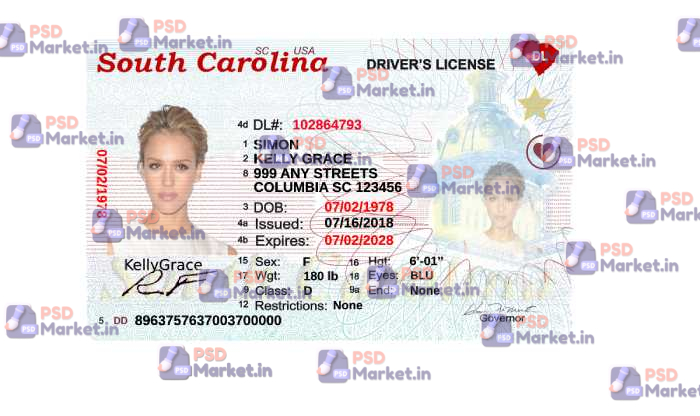 South Carolina Drivers License Template Updated 1 South Carolina Drivers License Template - PSDMarket.in