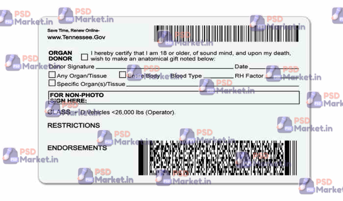 Tennessee Drivers License Template (V1) 2 Tennessee Drivers License Template (V1) - PSDMarket.in