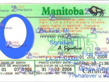 Canada Manitoba Drivers License Template - PSDMarket.in