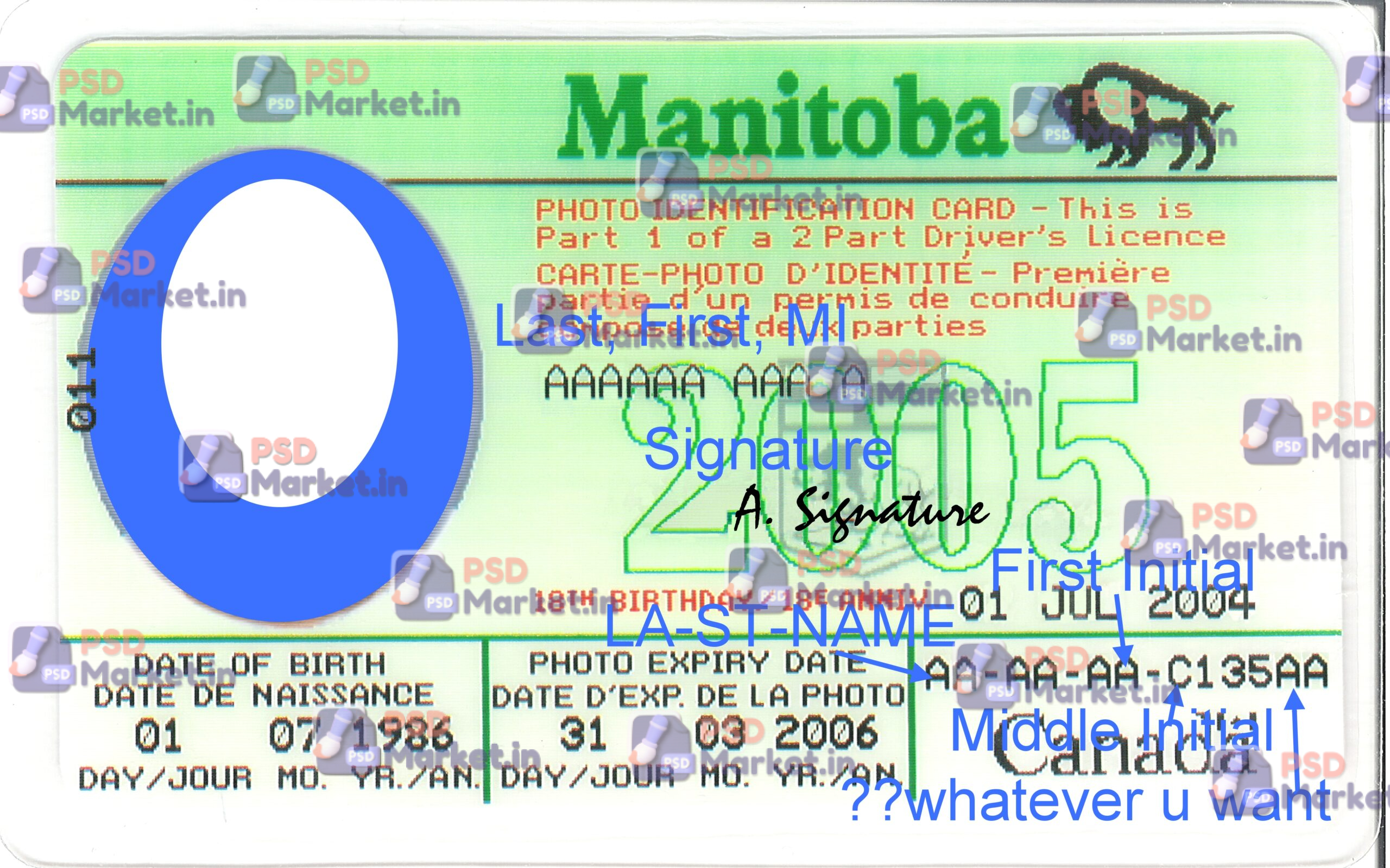 Canada Manitoba Drivers License Template 1 Canada Manitoba Drivers License Template - PSDMarket.in