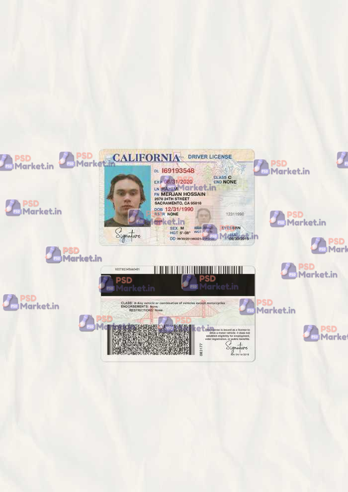 California Drivers License Template (scan) V1 1 California Drivers License Template (scan) V1 - PSDMarket.in
