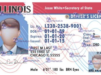 Illinois Drivers License Template V1 - PSDMarket.in